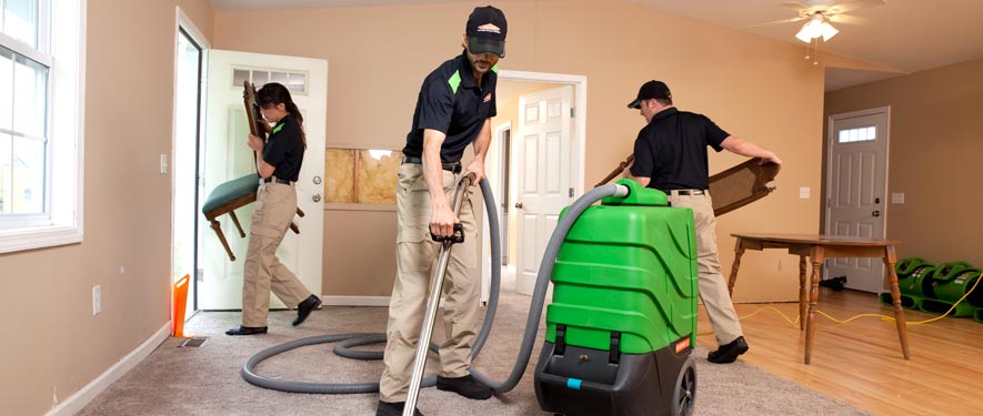 Buena Park, IL cleaning services